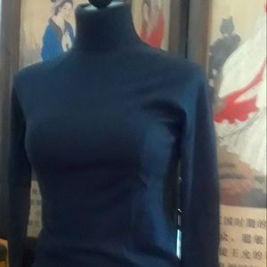Talbots classic fitted turtle neck.